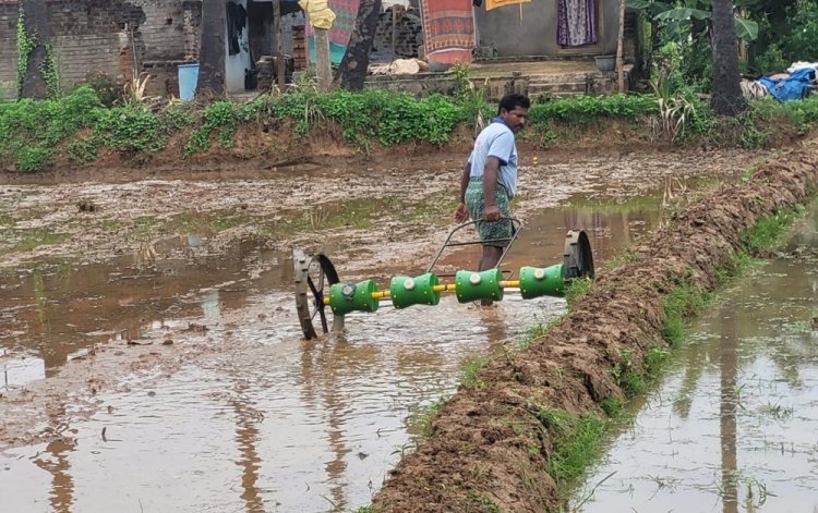 RPG Group To Invest $1.6 Mn In Climate Resilience Project In AP