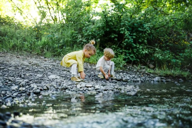 Switzerland’s River Clean-up Sets a Global Benchmark for Clean Water Restoration