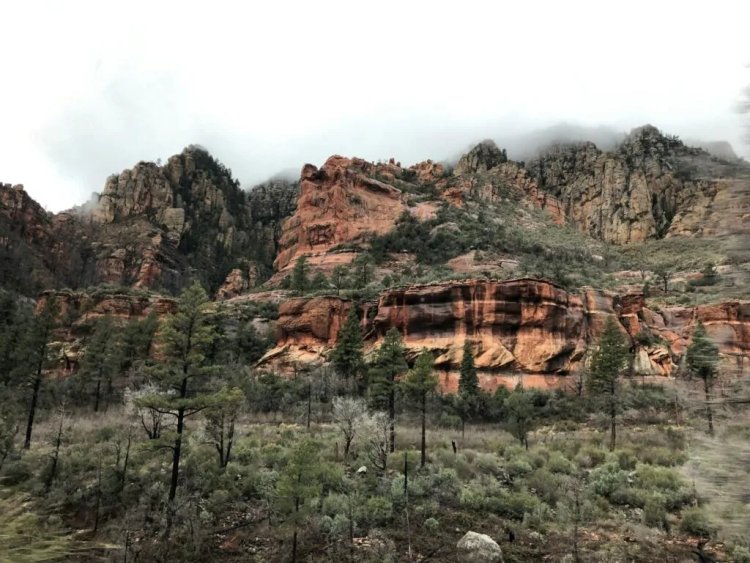 AI Camera Network Boosts Arizona’s Wildfire Detection and Response