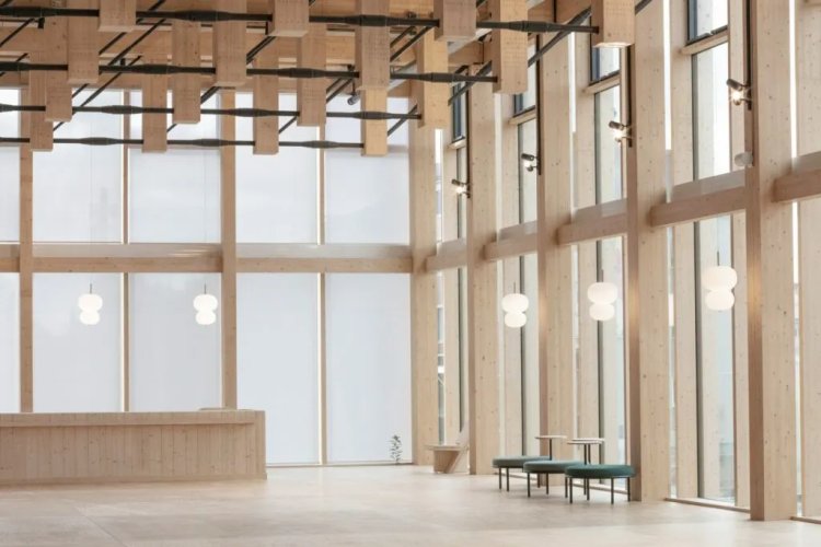 Can Timber Help Reduce Construction Industry Emissions?