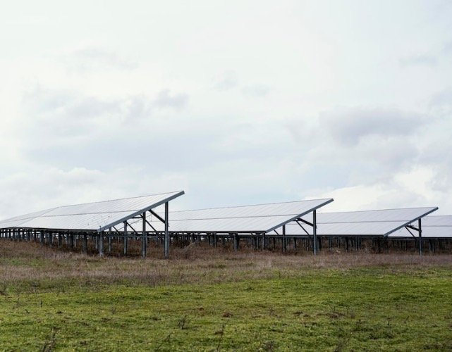Central Electric Launches 100 Mw Solar In Carolina