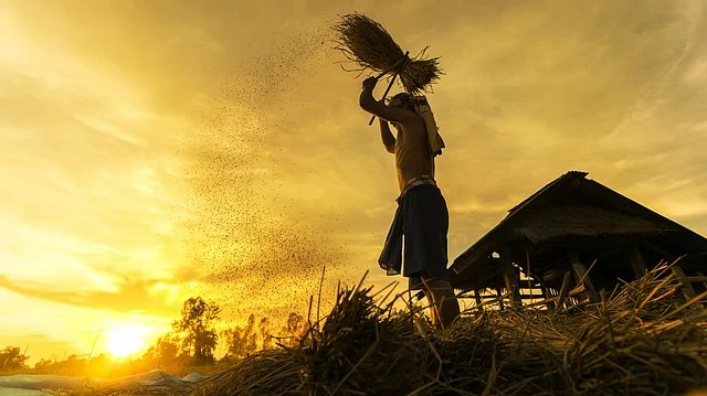 APEDA Launches Regional Offices in Patna, Raipur, Dehradun to Boost Agri Exports