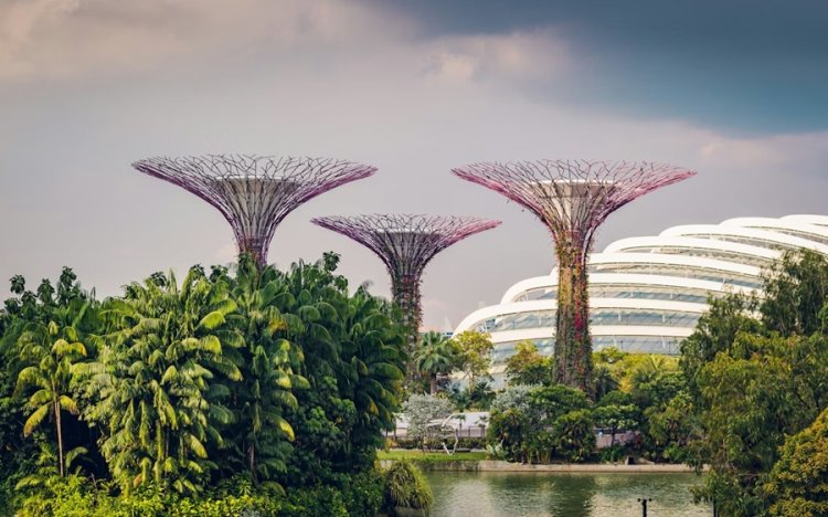 Singapore Launches IT Energy Efficiency Standard For Data Centres