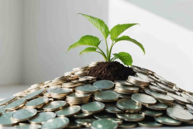 Sustainable Finance Becomes the Future of Global Markets as ESG Investing Surges