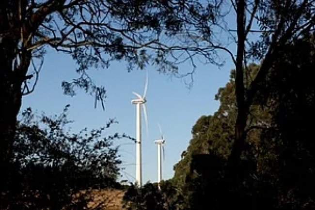 Inox Green Signs O&M Agreements for 189.1 MWp Solar Projects