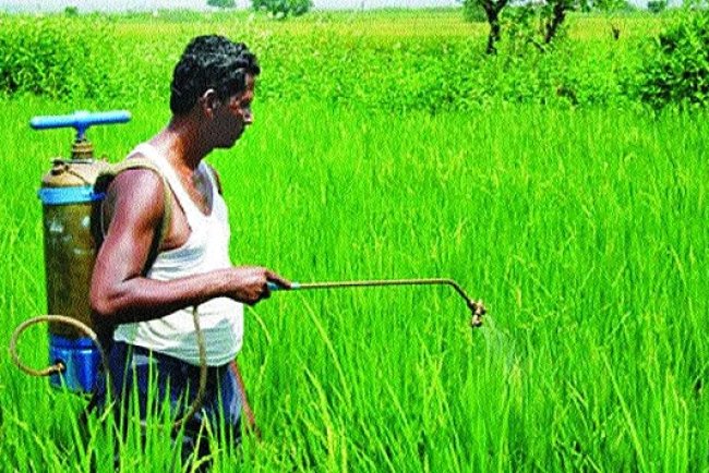 APEDA Launches BHARATI to Boost India’s Agri-Food Exports and Startups