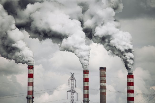 Firms rely on in-house carbon reporting tools despite doubts over accuracy