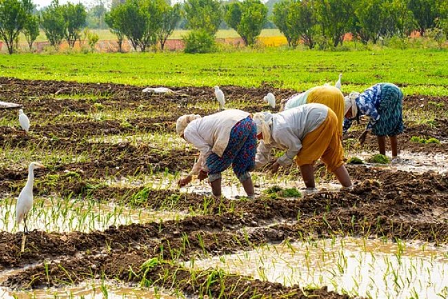 GST Rate Cuts on Tractors, Farm Machinery & Fertilisers Signals Structural Reform