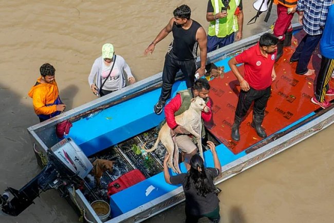 Yamuna Floods Prompt Mass Evacuation Orders in Delhi Amid Worst Surge in Years