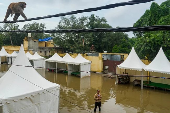 Delhi’s Yamuna Floods Highlight Climate and Urban Vulnerability