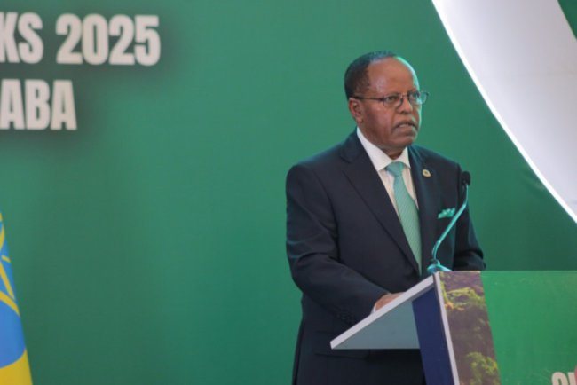 COP30 Expected to Deliver Climate Breakthroughs for Africa