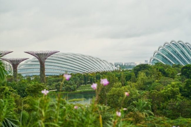 Singapore Secures $510M For Green Infra Fund