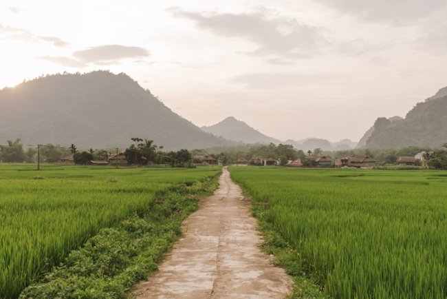 Villages To Classrooms: Community Initiatives Driving Sustainability In India