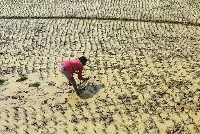 Punjab to Allow Flood-Hit Farmers to Mine Sand for Relief and Recovery