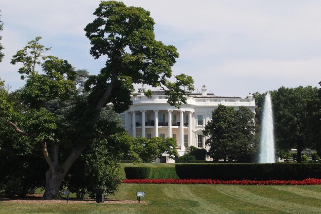 Environmental Groups Sue to Block Trump Administration's Controversial Science Report