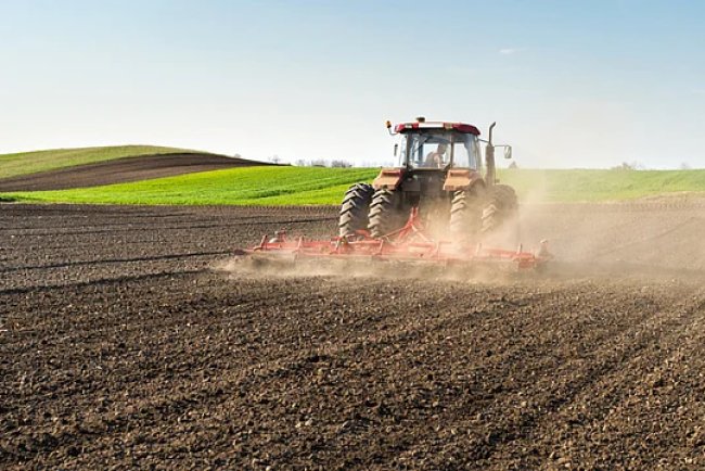 Indian Farm Sector Registers World’s Highest 3.7% Growth in Q1, Minister Chouhan Reports