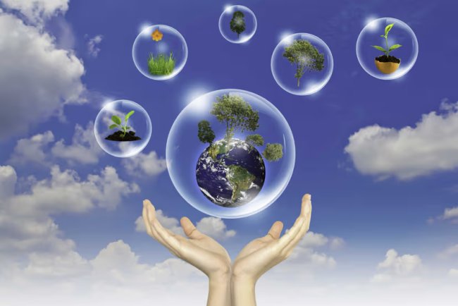 Leading Venture Capital Firms Unite in Landmark Coalition to Scale Climate Tech