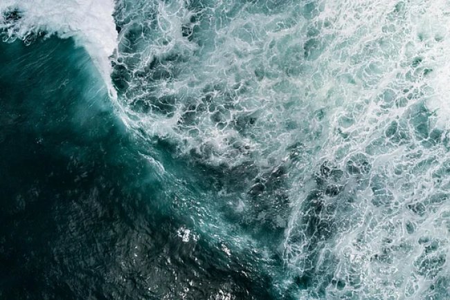 High Seas Treaty: World’s First Ocean Protection Law Enters Force in January 2026