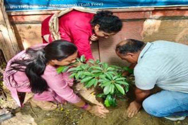 Textiles Ministry Leads "Swachhata Hi Seva" with Nationwide Drives