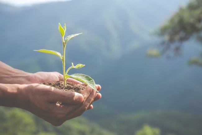 From Greenwashing To Green-proofing: Storytelling For A Sustainable Future