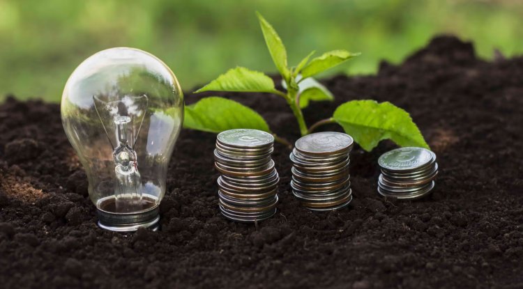 Green Energy Investors Navigate Complex and Diverging Global ESG Regulations