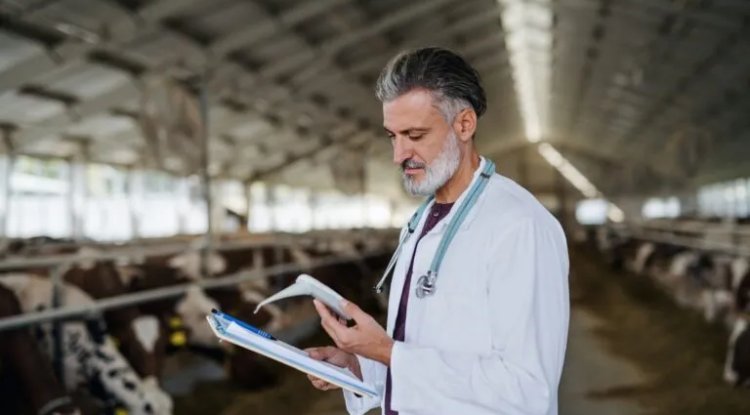 California Dairy Farms Achieve Record Methane Reductions in Global Climate Push