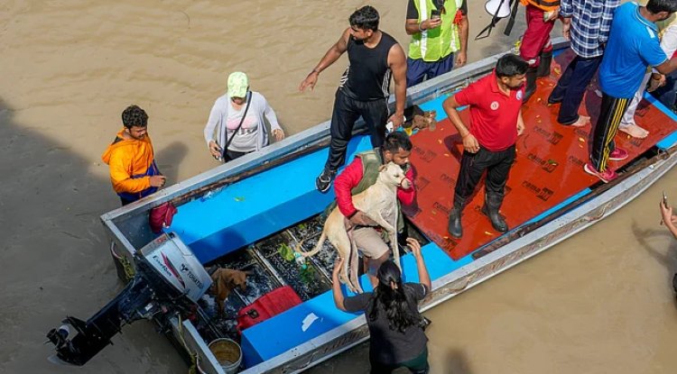 Yamuna Floods Prompt Mass Evacuation Orders in Delhi Amid Worst Surge in Years