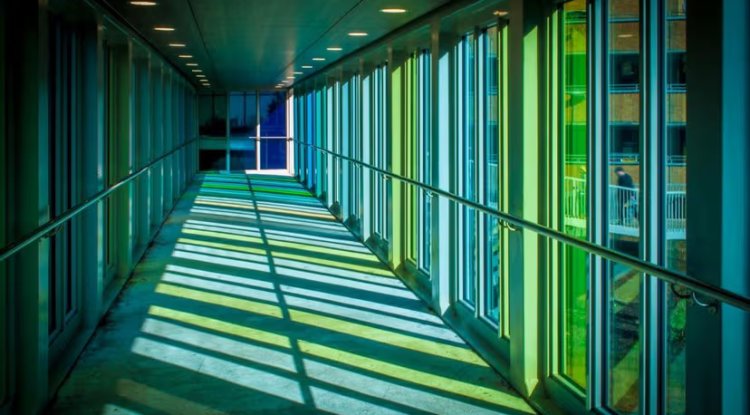 Google Scales Back Net-Zero Pledge as AI Energy Demand Surges