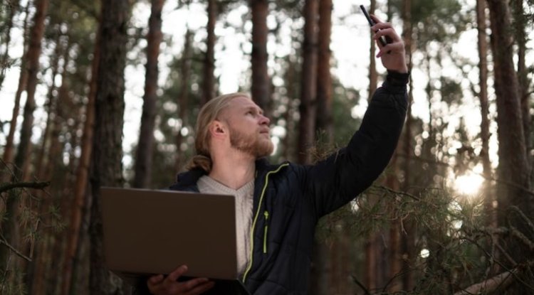 Netflix Backs 15-Year Deal To Grow Forests In US