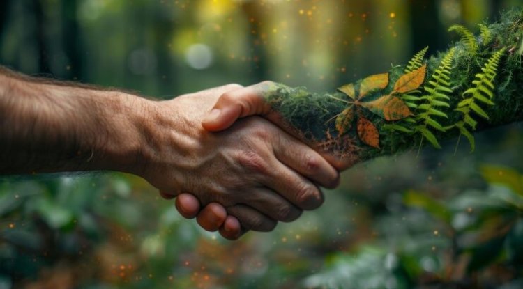 Rainforest Alliance Unveils Regenerative Farming Seal