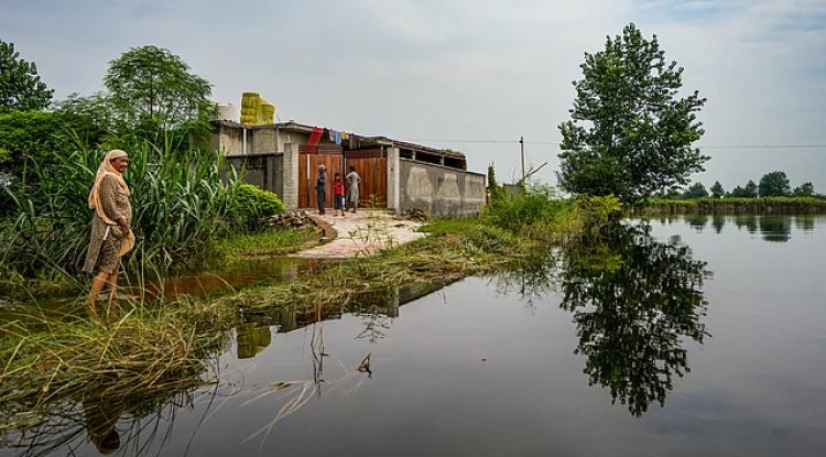 Punjab Battles Worst Floods in Decades as Monsoon Intensifies Destruction