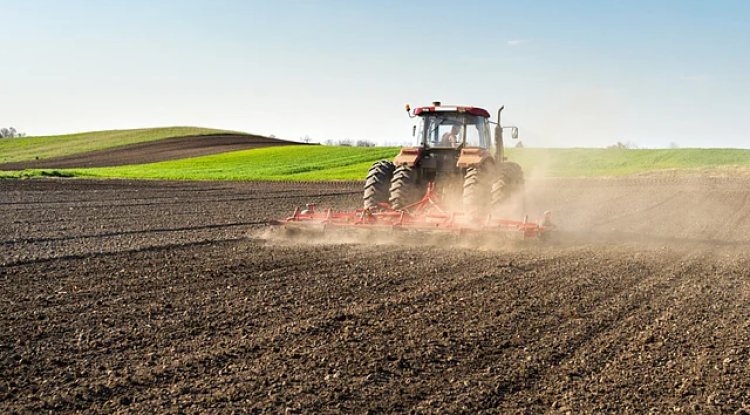 Indian Farm Sector Registers World’s Highest 3.7% Growth in Q1, Minister Chouhan Reports