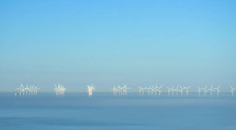 Dutch Pilot Project Harnesses Wind Farm for Sustainable Seaweed Cultivation