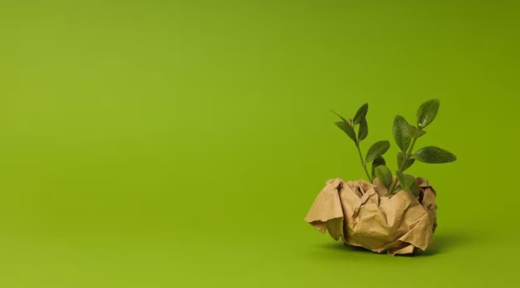 Canadian Regulators Launch First Greenwashing Enforcement Against Toronto Fund Manager