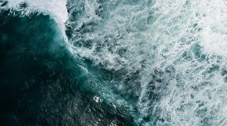 High Seas Treaty: World’s First Ocean Protection Law Enters Force in January 2026