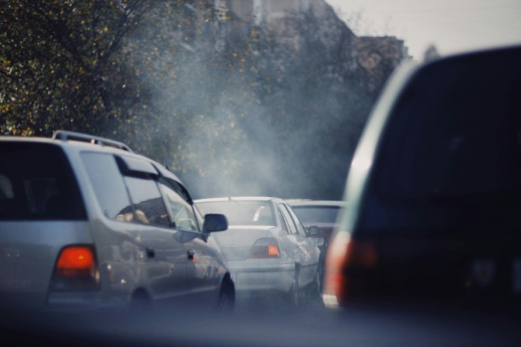 New Survey Reveals 12.2% of EU Households Affected by Pollution