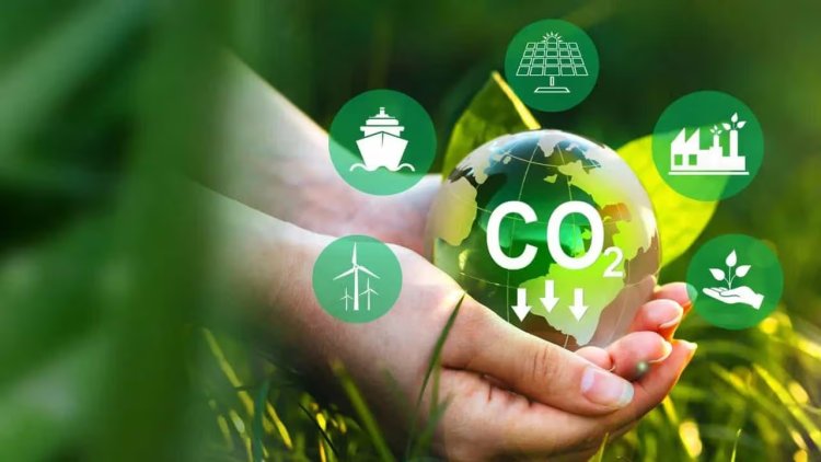 Position Green Expands in Europe with Acquisition of Greenomy