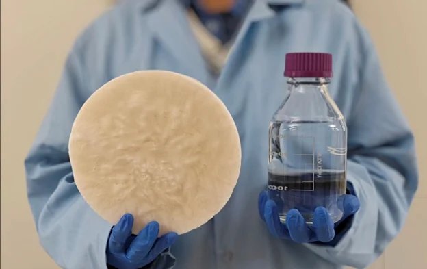 Hydrogel Breakthrough Turns Food Waste into Drinking Water Amid Growing Global Scarcity