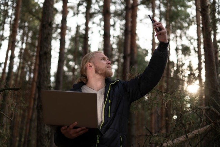 Netflix Backs 15-Year Deal To Grow Forests In US