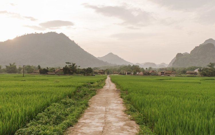 Villages To Classrooms: Community Initiatives Driving Sustainability In India