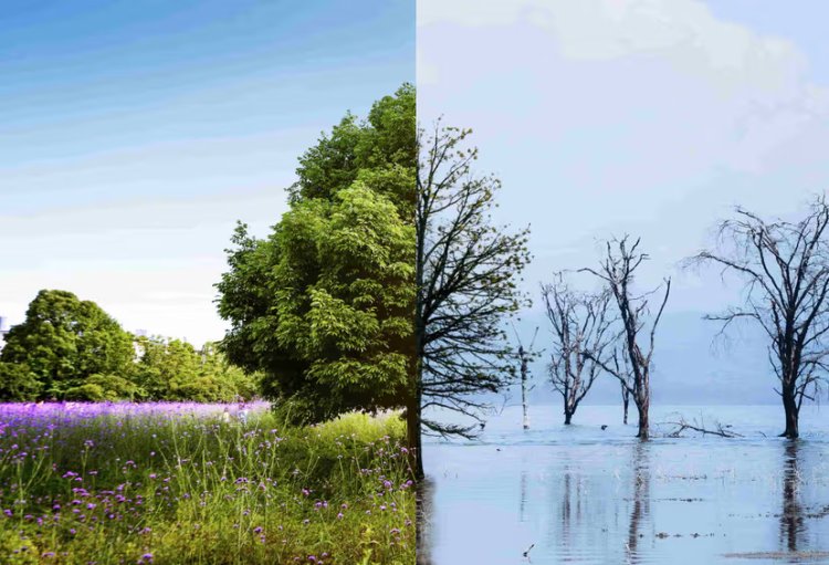 Trump's Climate Lawsuit Strategy Could Unearth Coal Industry Secrets