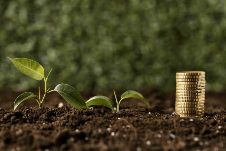 Southeast Asia Cements Role as Premier Destination for Climate Investment Funds