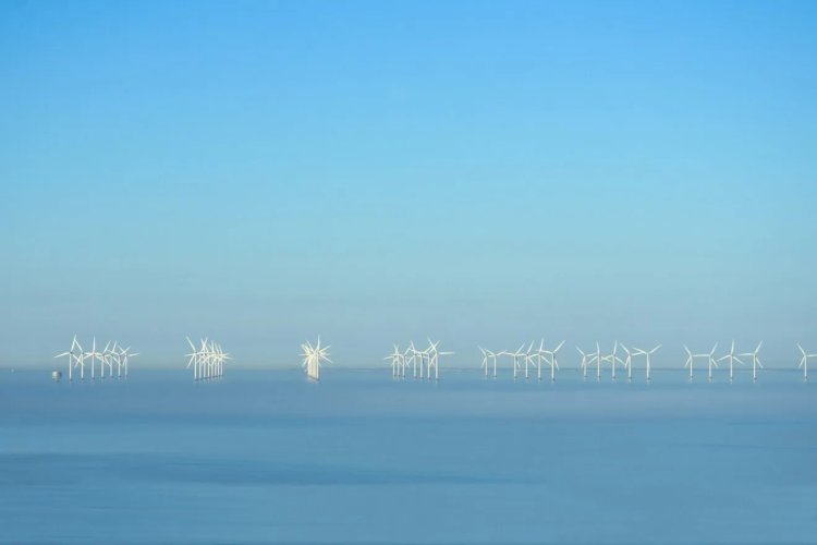 Dutch Pilot Project Harnesses Wind Farm for Sustainable Seaweed Cultivation