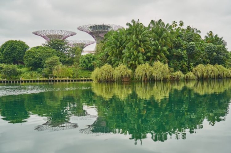 Singapore Secures Over 2M Tonnes Nature Carbon Credits