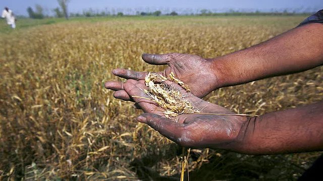 Nanded Farmers to Get 100% Crop Loss Relief With ₹553 Crore Compensation, Setting New Benchmark