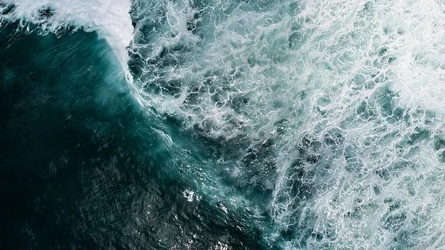 High Seas Treaty: World’s First Ocean Protection Law Enters Force in January 2026