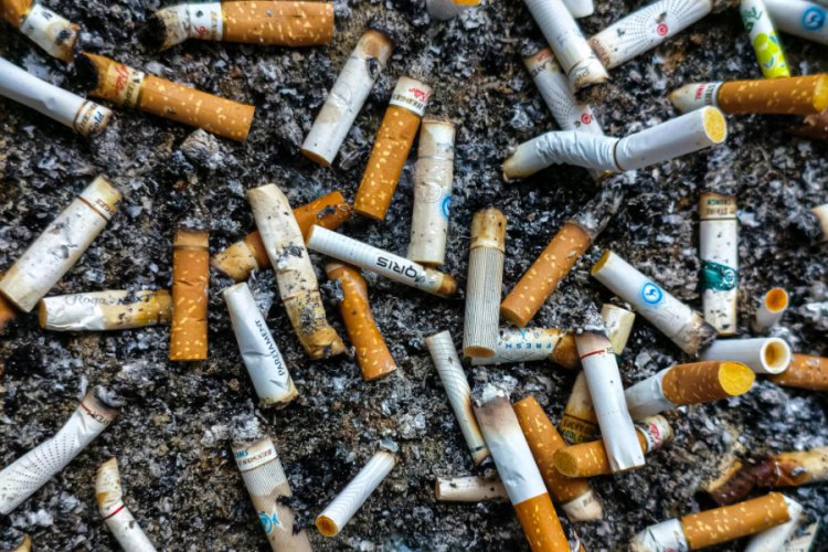 Cigarette Butts and Chewing Gum Continue to Dominate Ireland's Litter Landscape