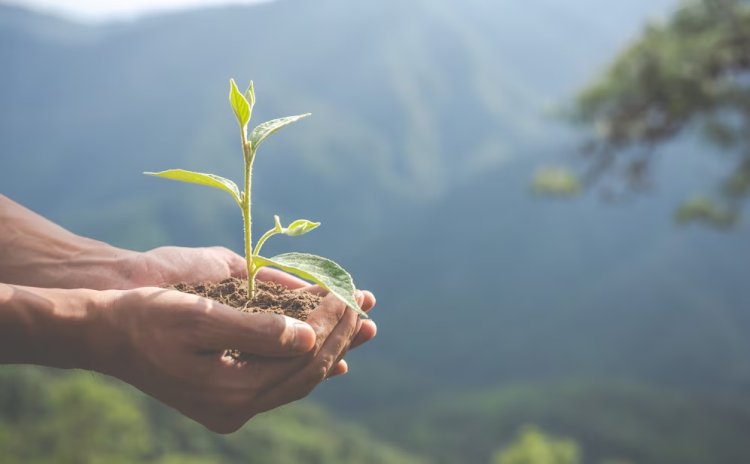 From Greenwashing To Green-proofing: Storytelling For A Sustainable Future