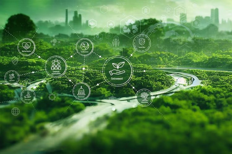 EU's Landmark Deforestation Law Stalled by Widespread Technical Failures