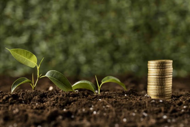 Sustainable Finance Activity Surges to €78.8 Billion in First Half, ING Reports